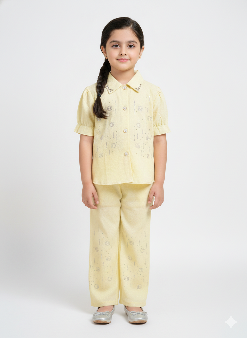 Elegant Girls Pastel Co-ord Set With Sparkling Embroidery And Trendy Puff Sleeve Design